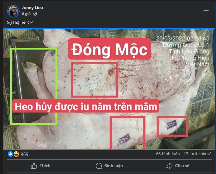 image-15.png
